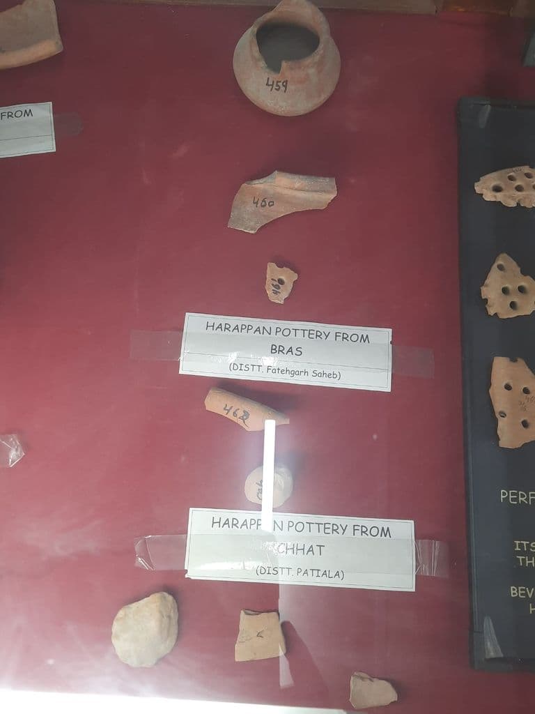 bhatinda_punjab_univ_museum_11.jpeg