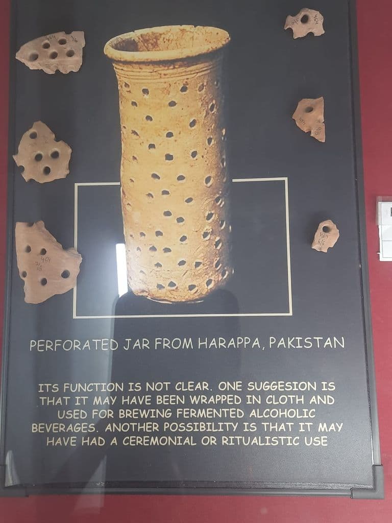 bhatinda_punjab_univ_museum_12.jpeg