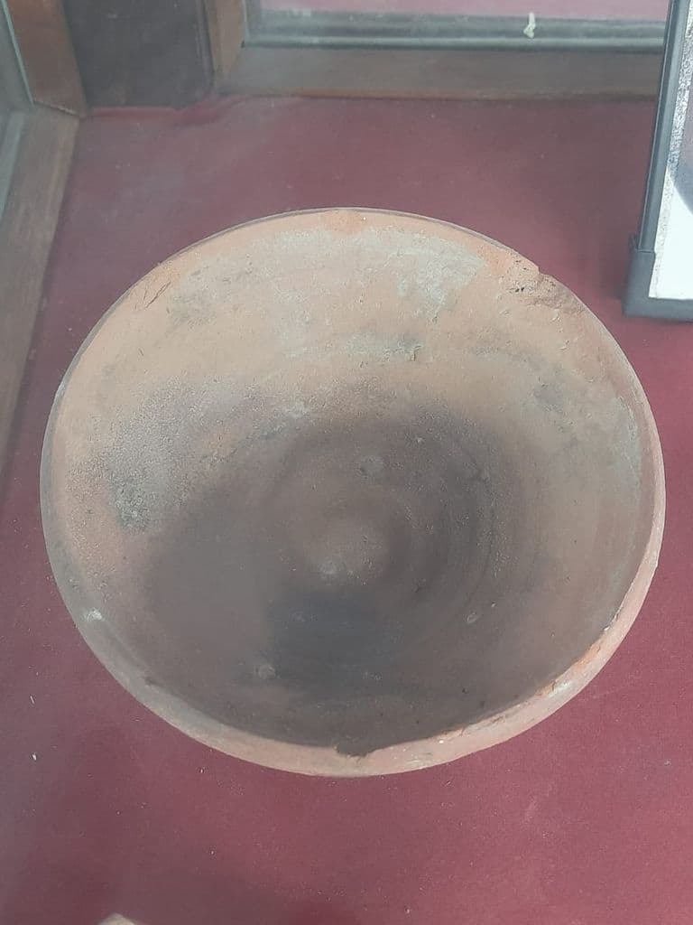bhatinda_punjab_univ_museum_13.jpeg
