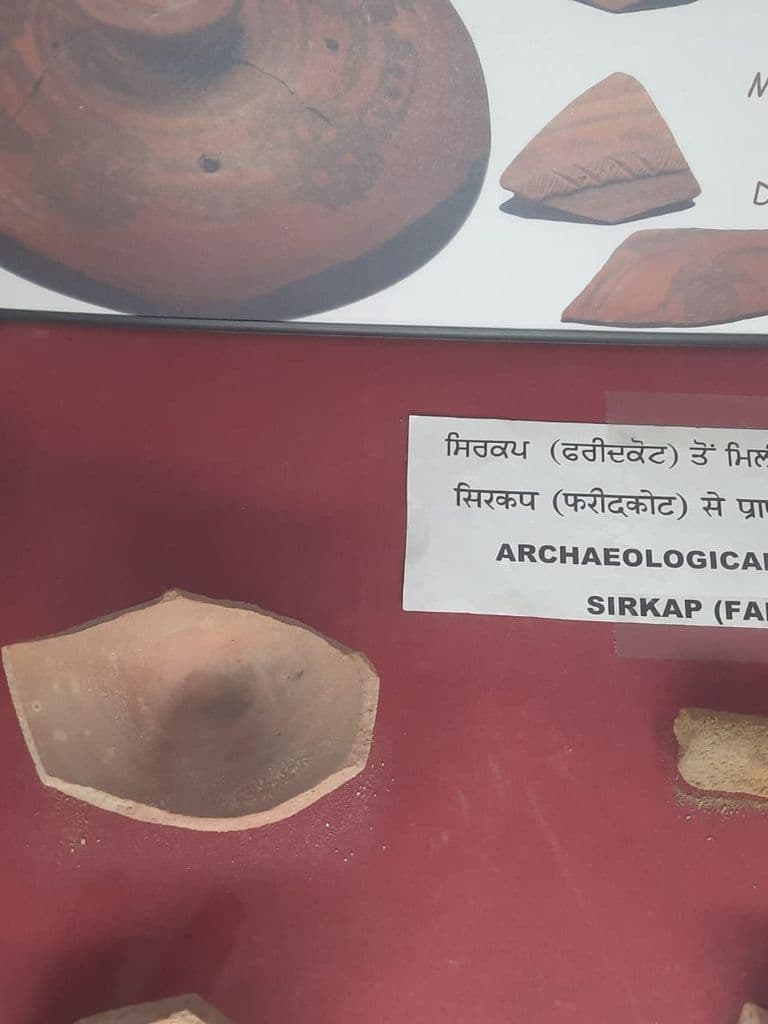 bhatinda_punjab_univ_museum_14.jpeg