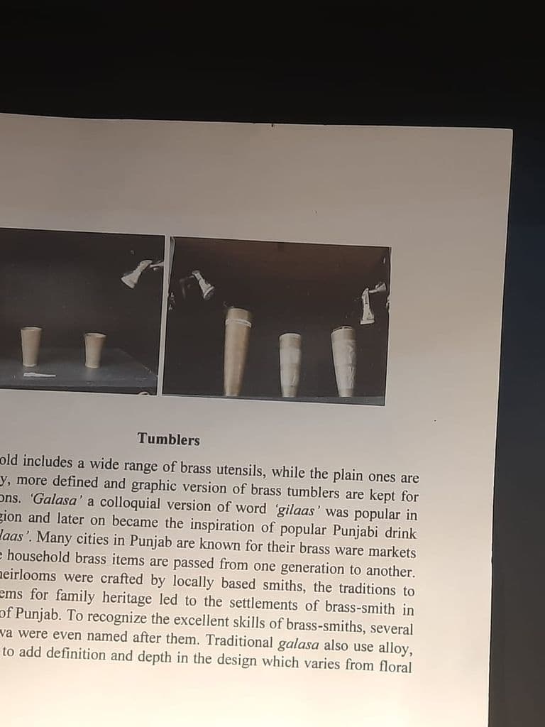 bhatinda_punjab_univ_museum_15.jpeg