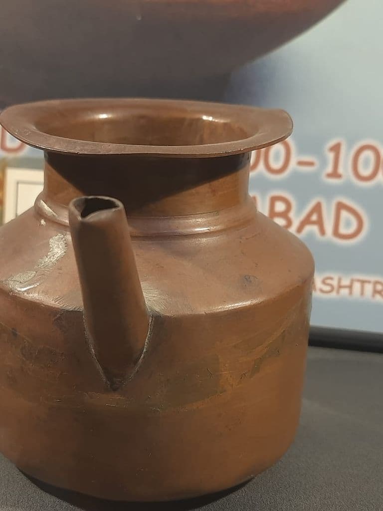 bhatinda_punjab_univ_museum_19.jpeg
