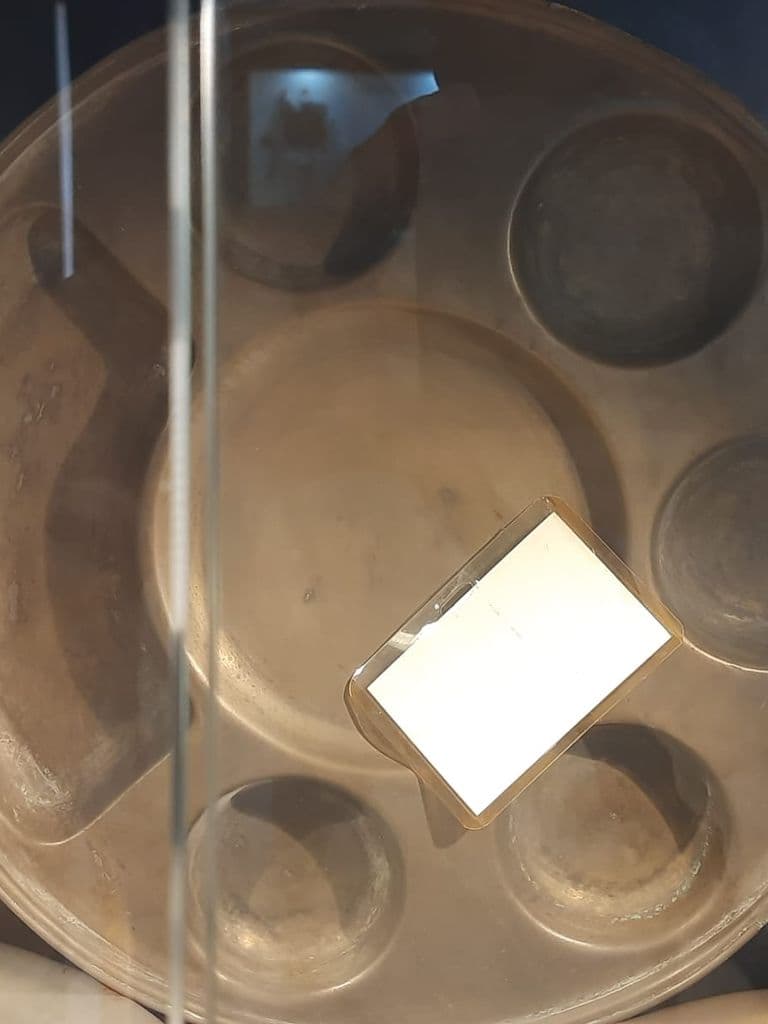 bhatinda_punjab_univ_museum_20.jpeg