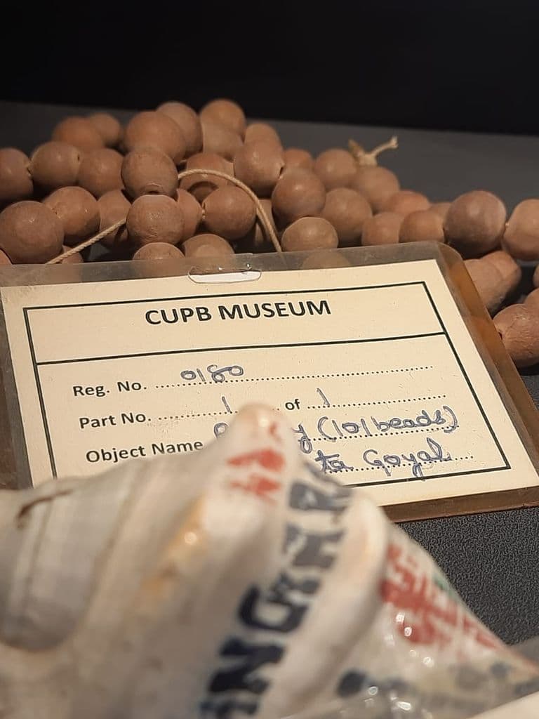bhatinda_punjab_univ_museum_23.jpeg