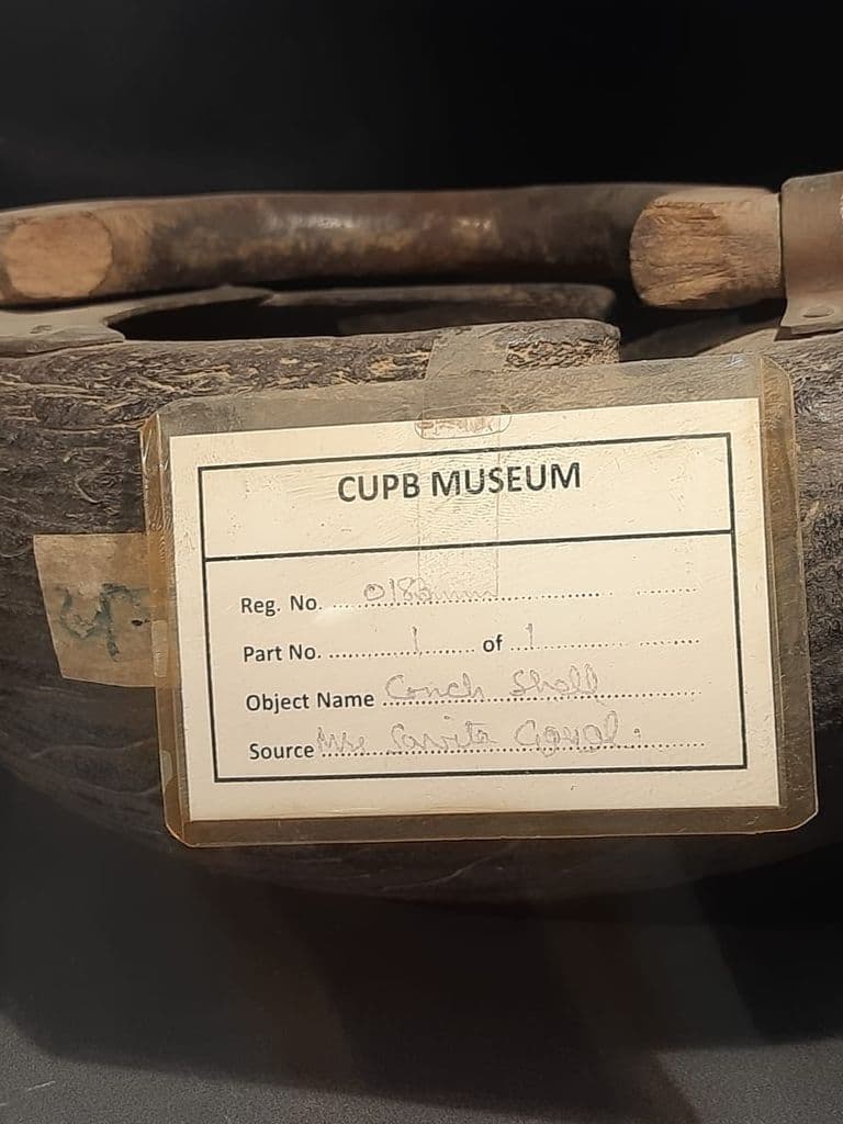 bhatinda_punjab_univ_museum_24.jpeg