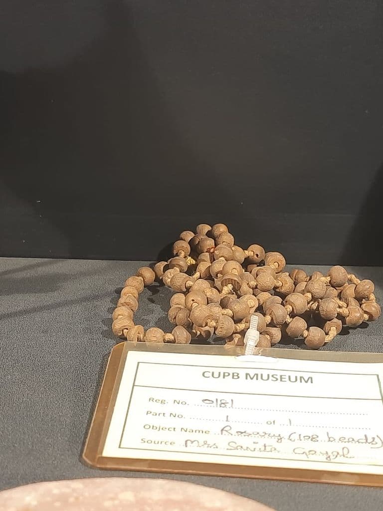 bhatinda_punjab_univ_museum_25.jpeg