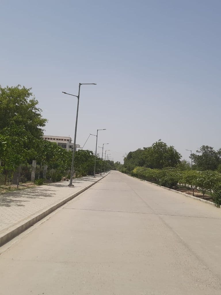 bhatinda_punjab_univ_museum_29.jpeg