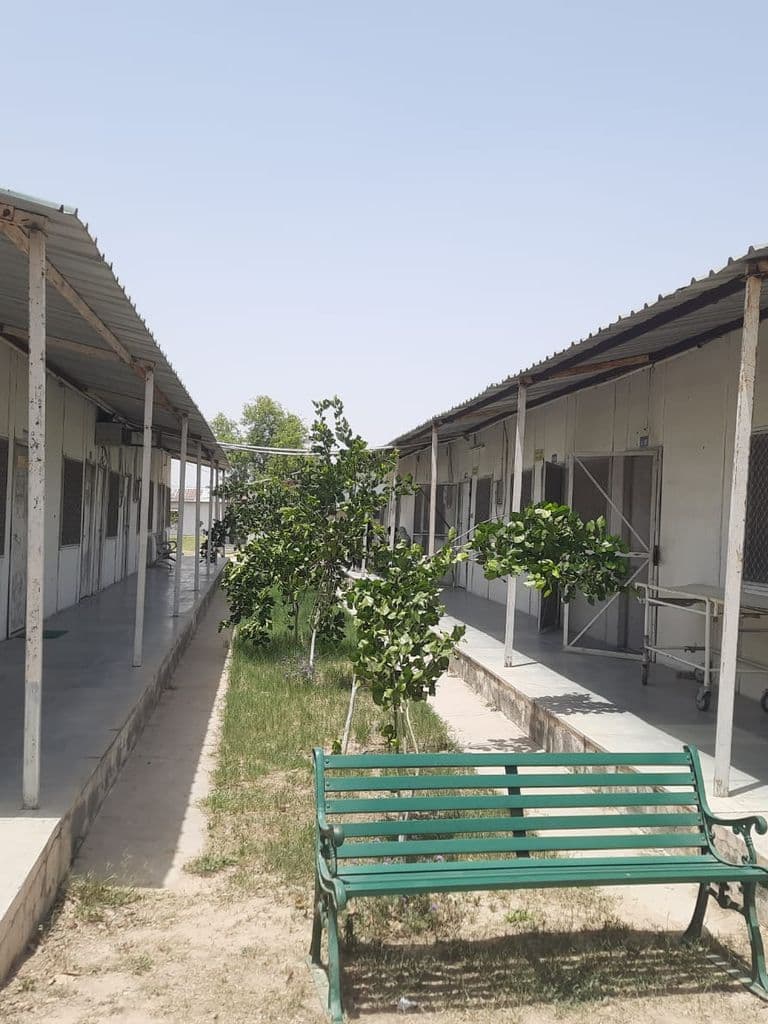 bhatinda_punjab_univ_museum_3.jpeg