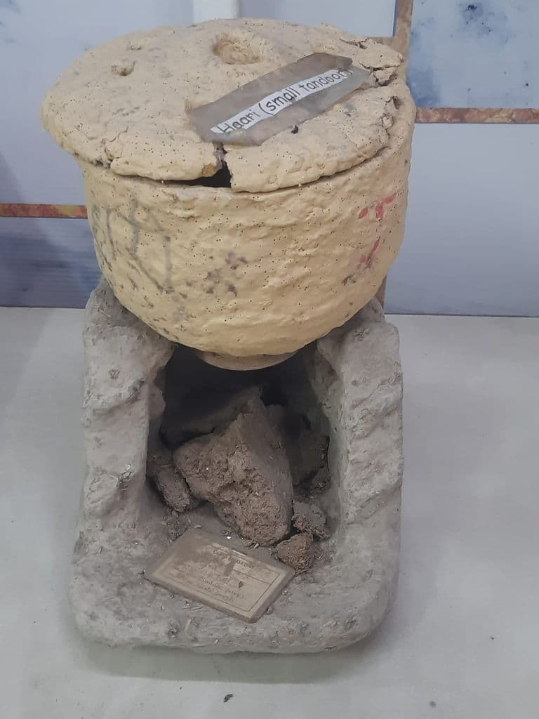 bhatinda_punjab_univ_museum_30.jpeg