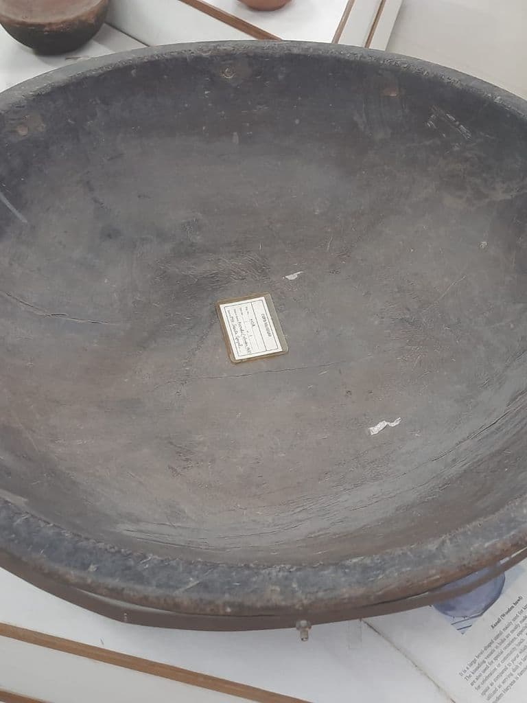 bhatinda_punjab_univ_museum_5.jpeg