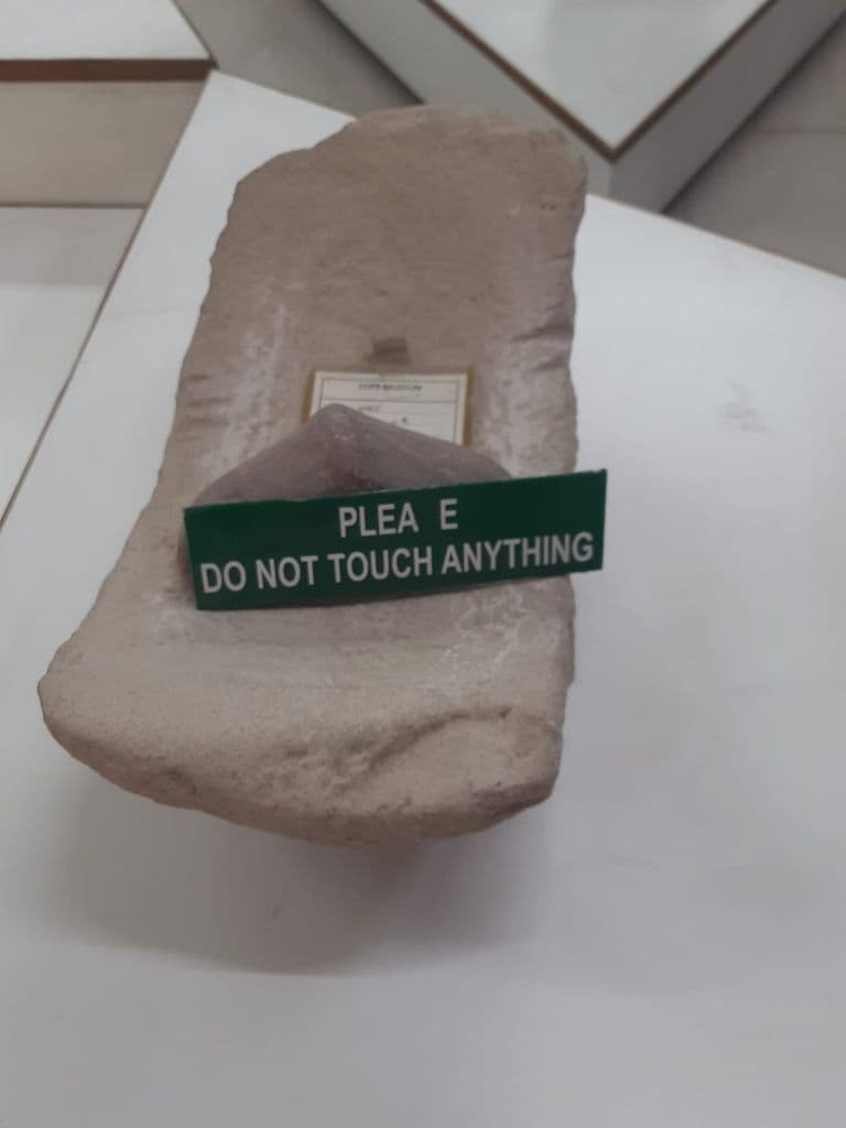 bhatinda_punjab_univ_museum_8.jpeg