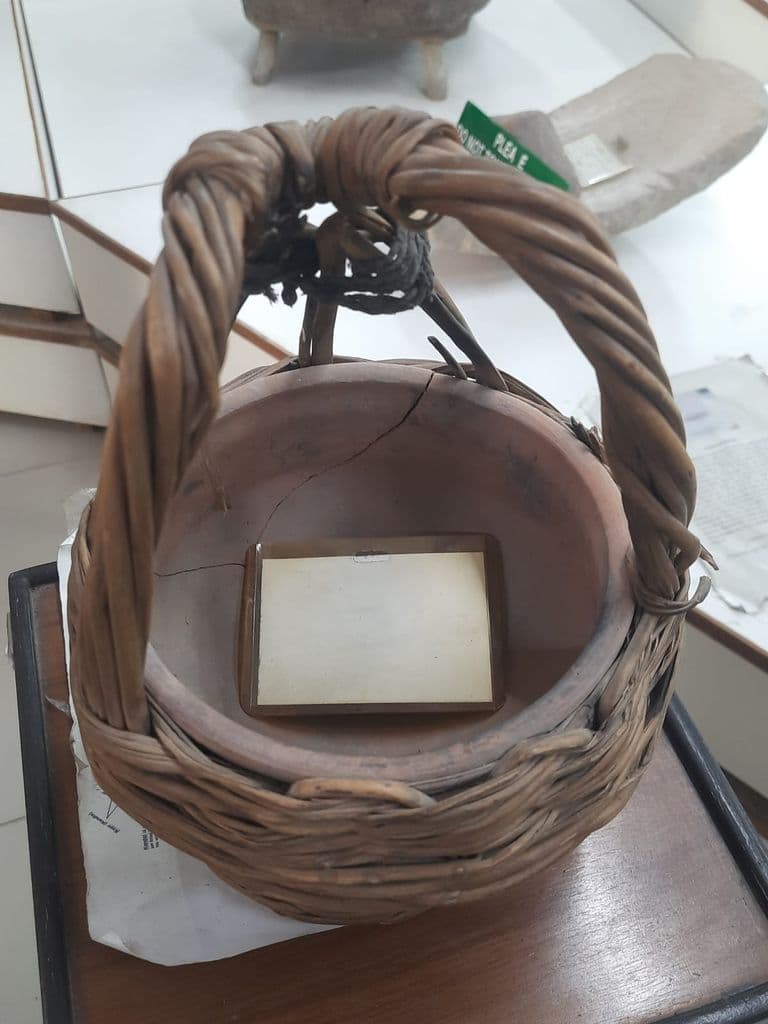 bhatinda_punjab_univ_museum_9.jpeg