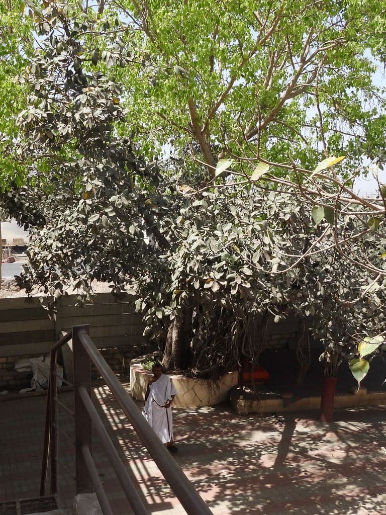Sant Sandhyagiri Bapu Ashram