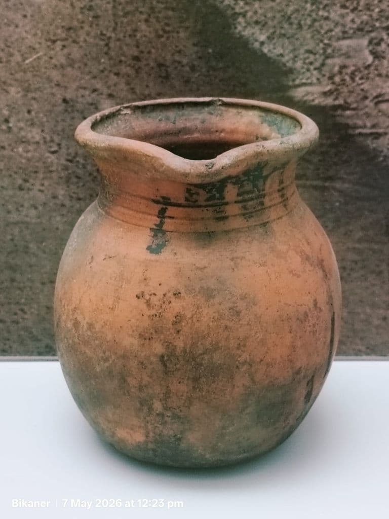 bikaner_gangaraj_museum_15.jpg