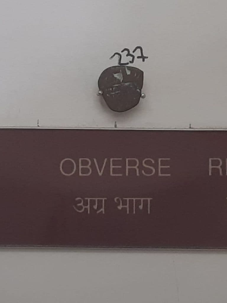 bikaner_gangaraj_museum_4.jpg