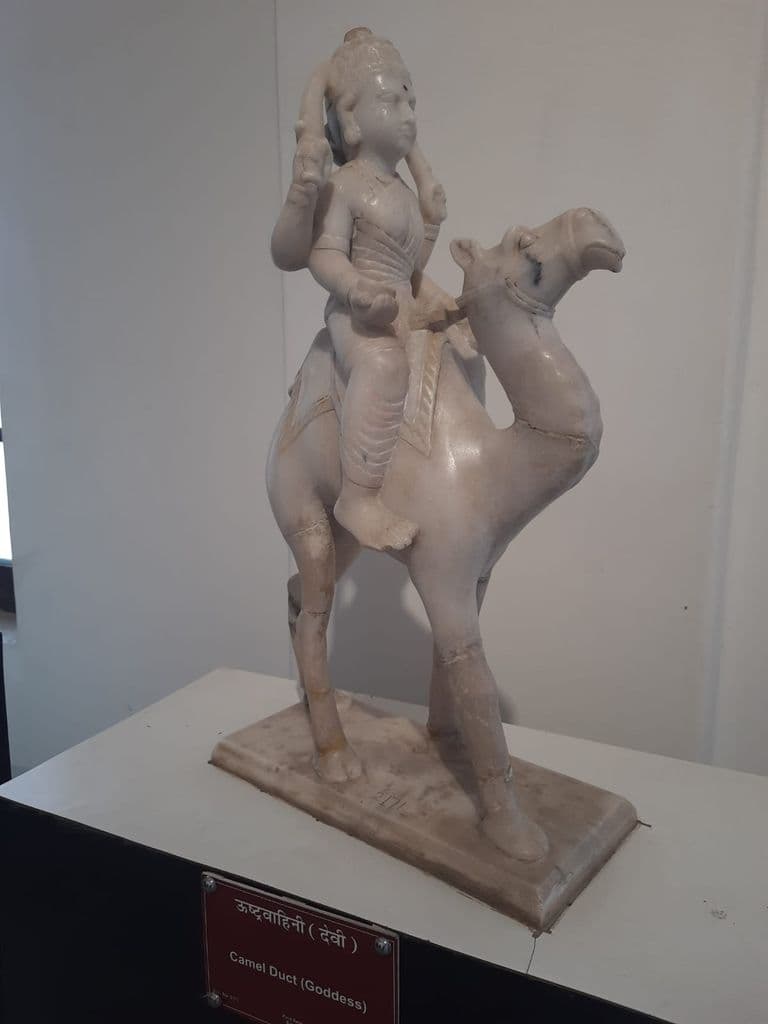 bikaner_gangaraj_museum_6.jpg
