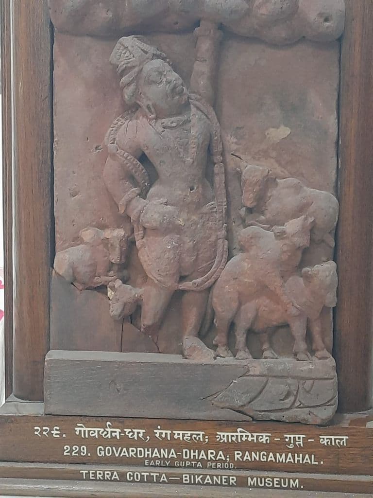 bikaner_gangaraj_museum_7.jpg