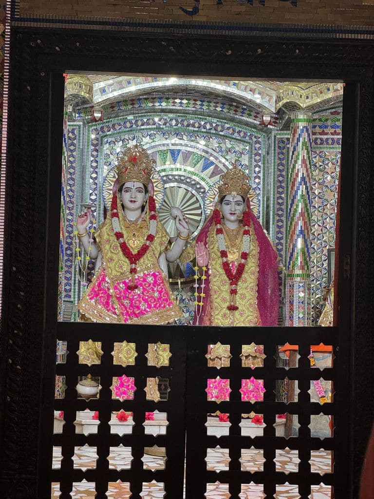 bilaspur_lakshminarayan_mandir_4.jpg