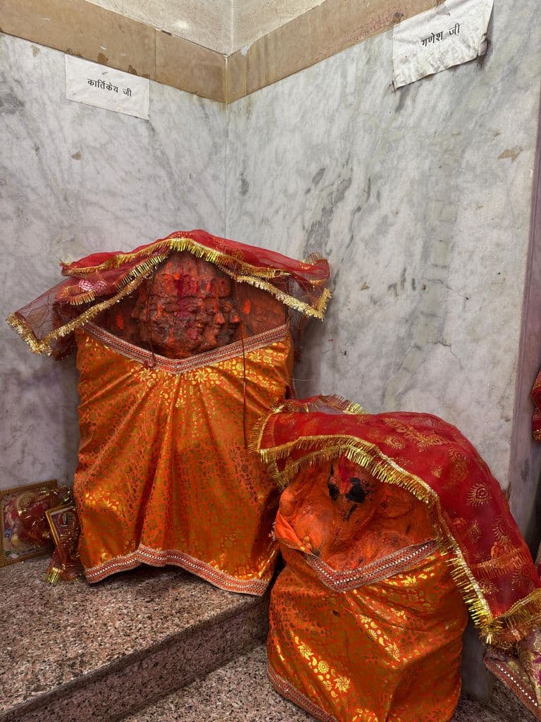 bilaspur_lakshminarayan_mandir_5.jpg