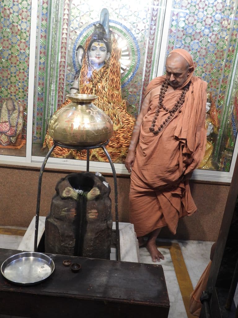 bilaspur_lakshminarayan_mandir_7.jpg