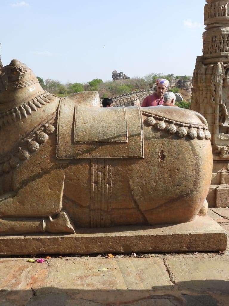 chittorgarh_samadhiswara_mahadev_mandir_14.jpg