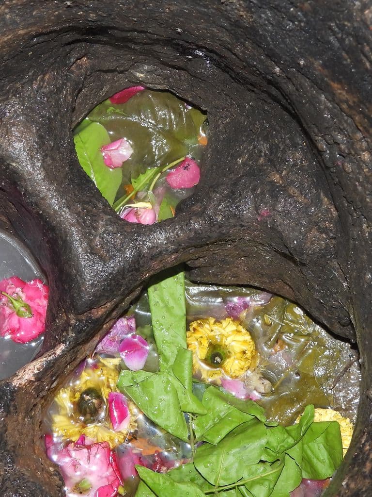 dakor_utkanteshwar_mahadev_14.jpg