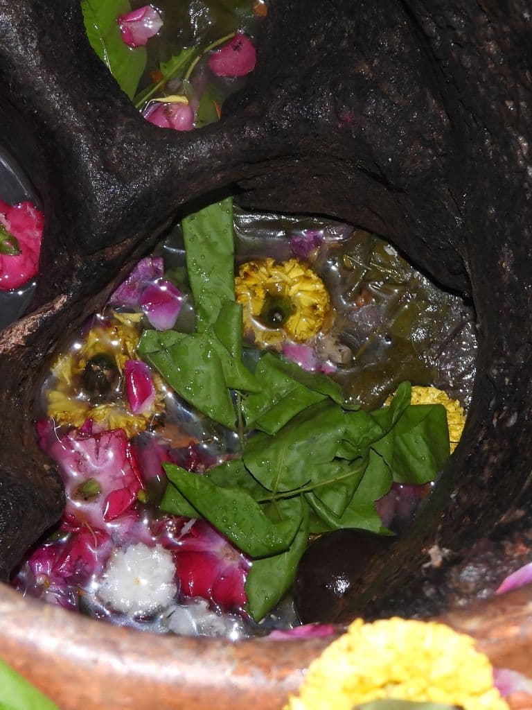 dakor_utkanteshwar_mahadev_15.jpg