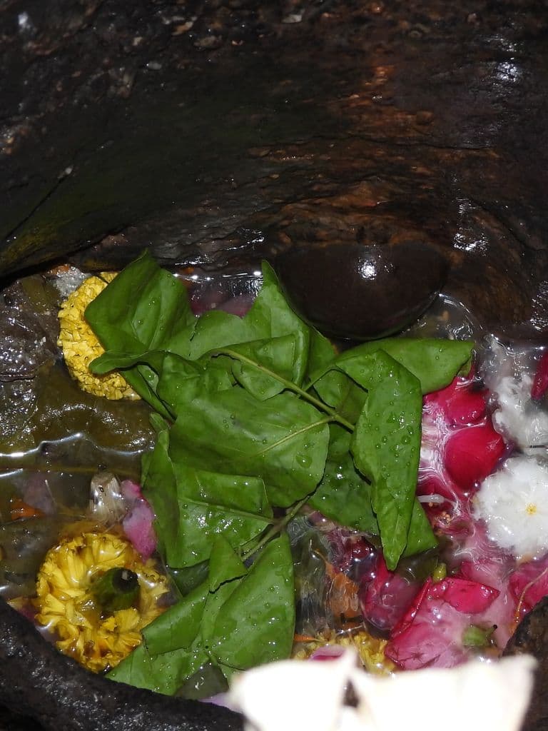 dakor_utkanteshwar_mahadev_17.jpg