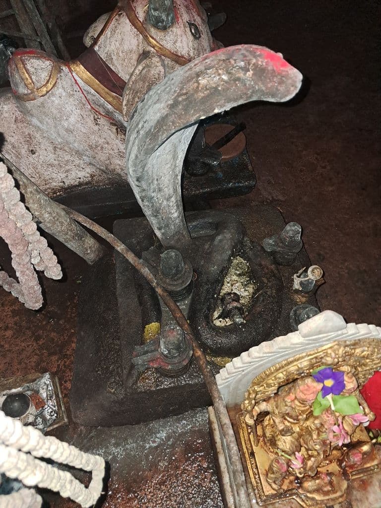 dergaon_shiva_doul_9.jpg