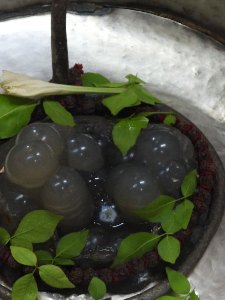 Siddheshwar Mahadev Mandir - Dholka