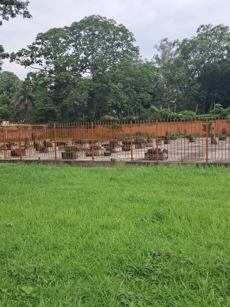dimapur_kachari_fort_10.jpg