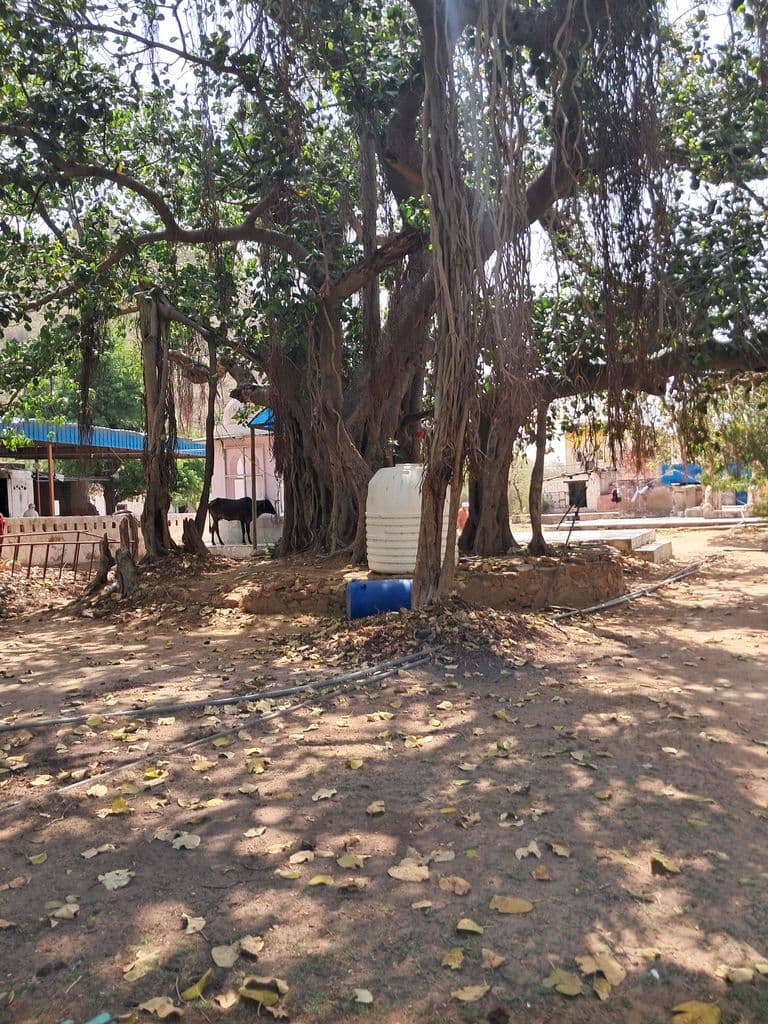 doshi_hill_chyavan_rishi_ashram_5.jpg