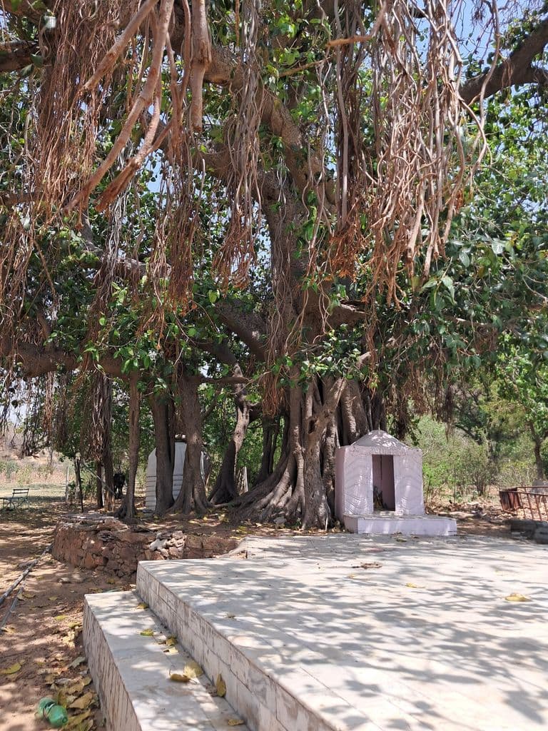 doshi_hill_chyavan_rishi_ashram_6.jpg