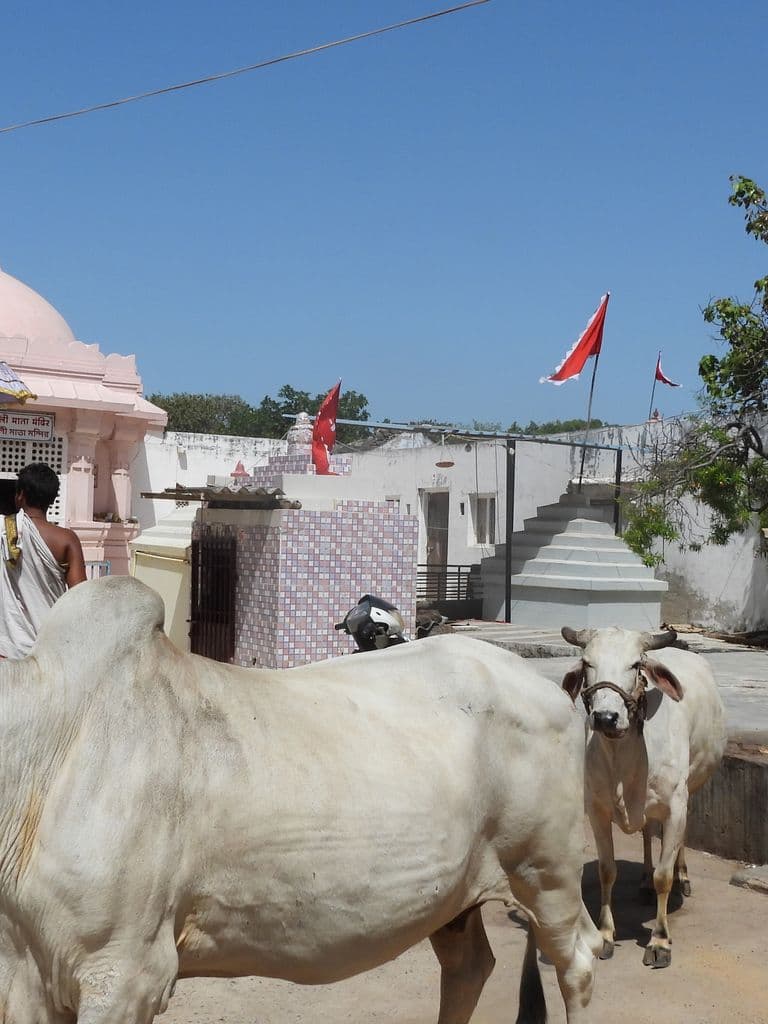 BHadrakali Mandir