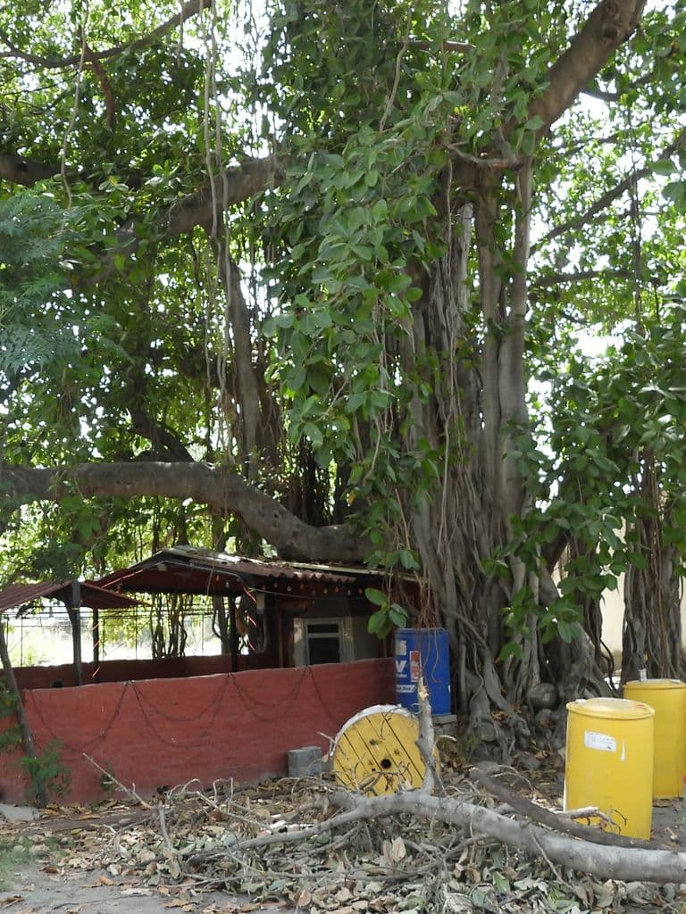 firozpur_anjaneya_temple_1.jpg