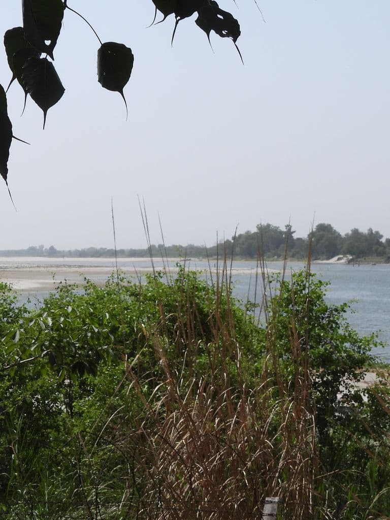firozpur_anjaneya_temple_6.jpg
