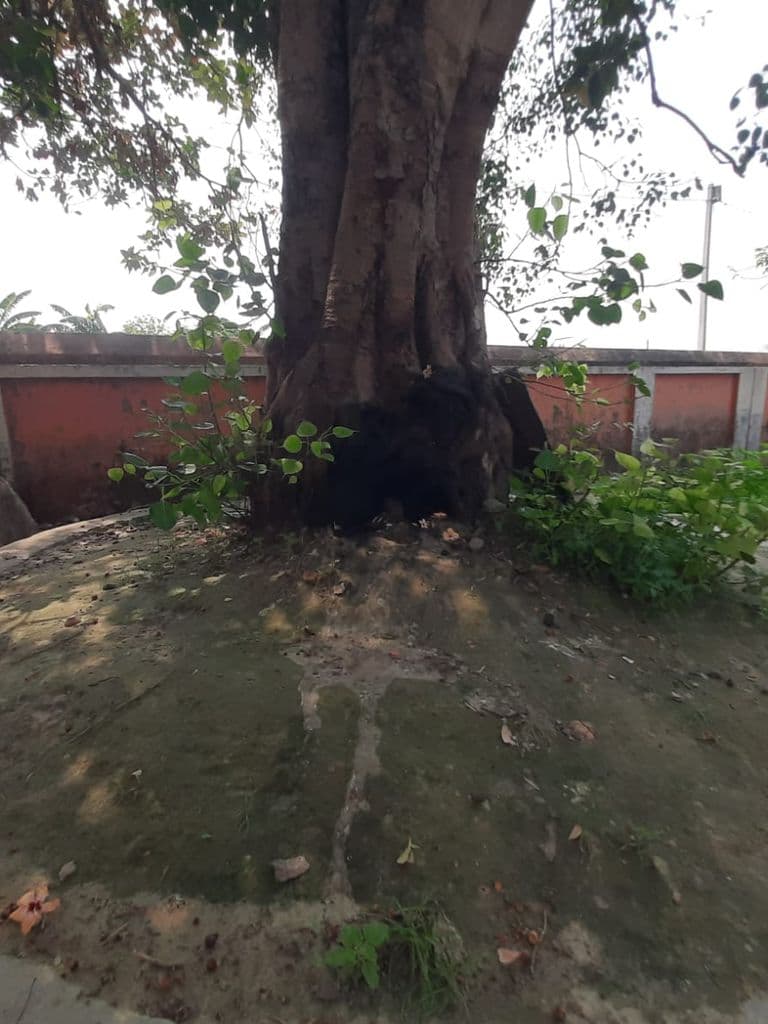 gorakhpur_surya_mandir_bujurg_turkpatti_14.jpg