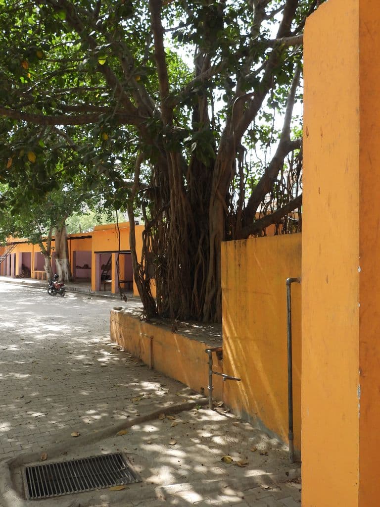gurugram_bhisham_das_mandir_9.jpg