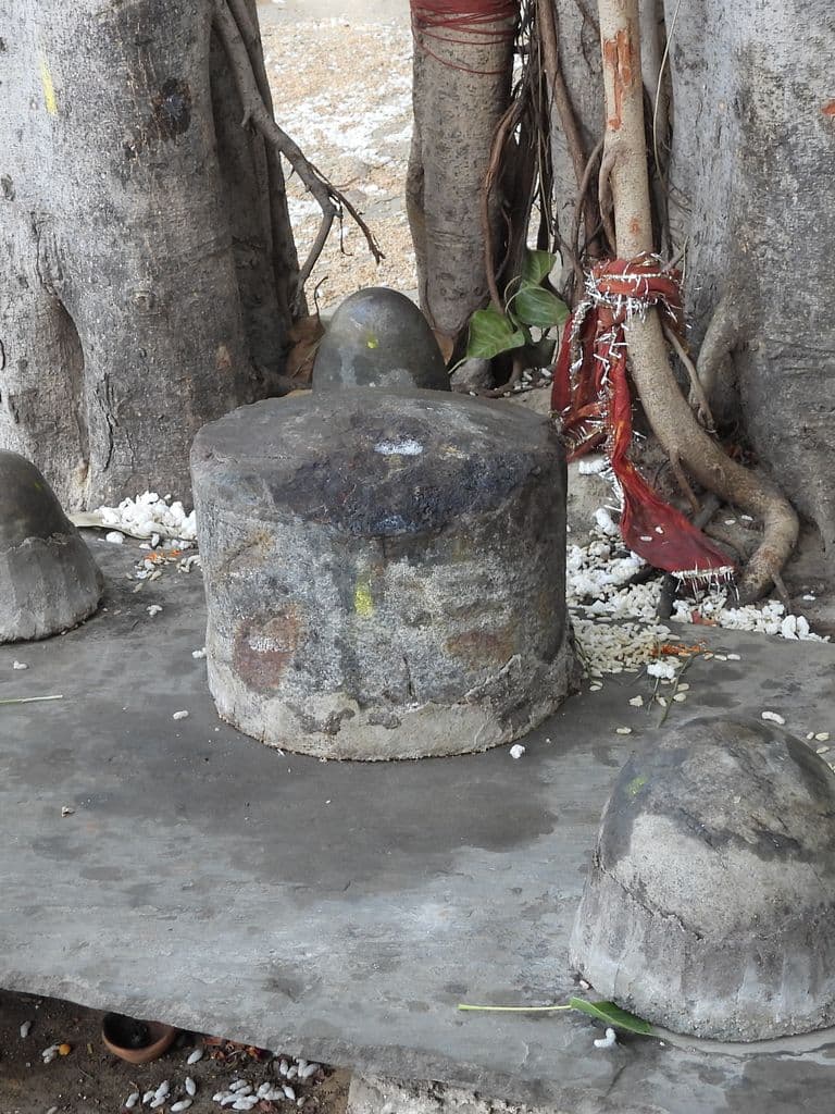 gurugram_nayaram_das_10.jpg