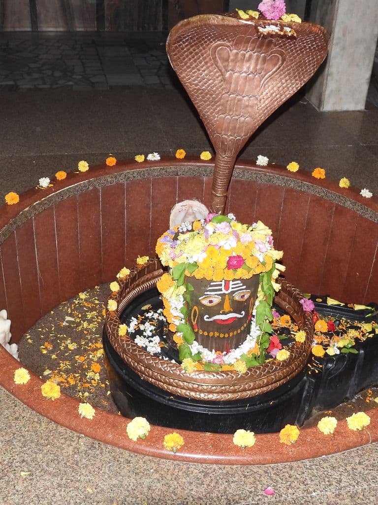 gurugram_prakash_puri_ashram_9.jpg