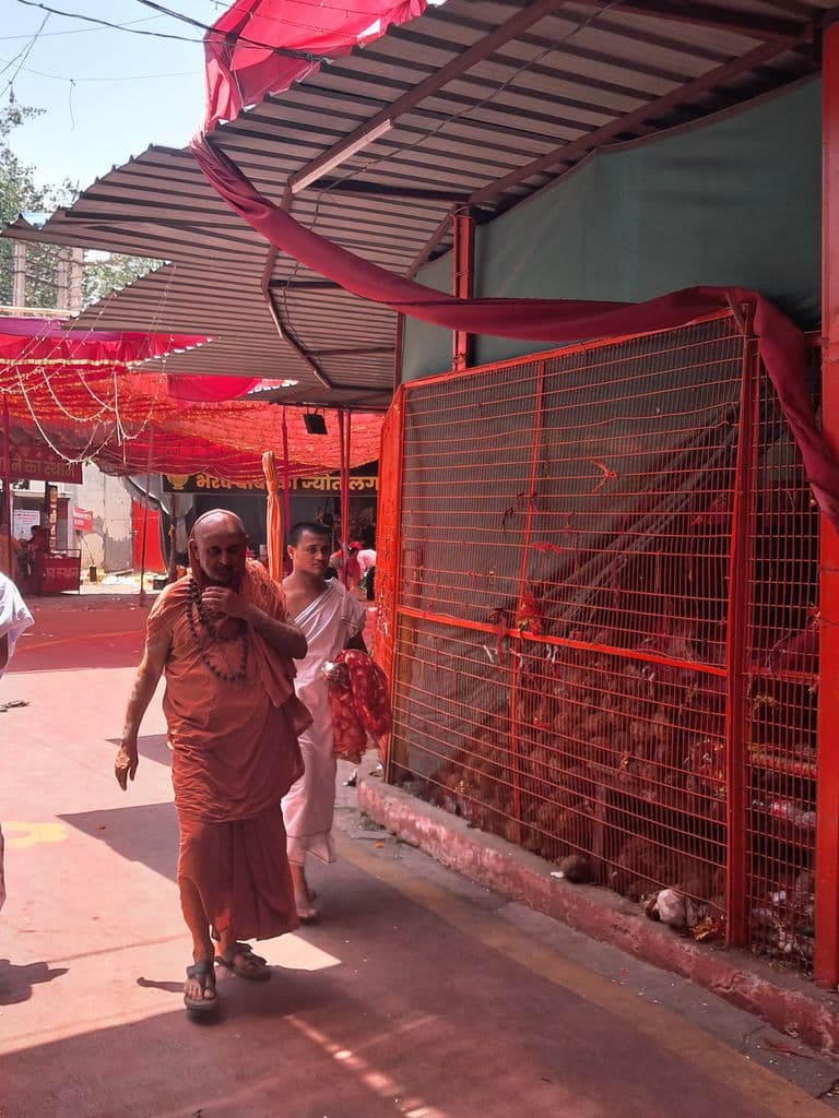 gurugram_sheetla_mata_mandir_3.jpg