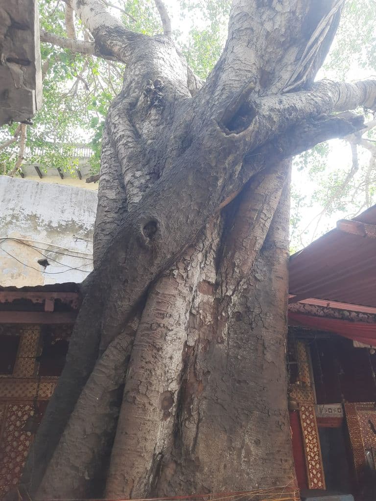 gurugram_shiv_kund_sohna_13.jpg