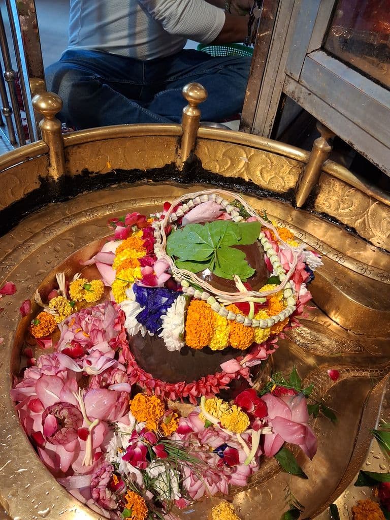 haridwar_bilwakeshwar_mahadev_mandir_29.jpg