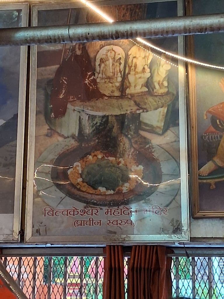 haridwar_bilwakeshwar_mahadev_mandir_30.jpg