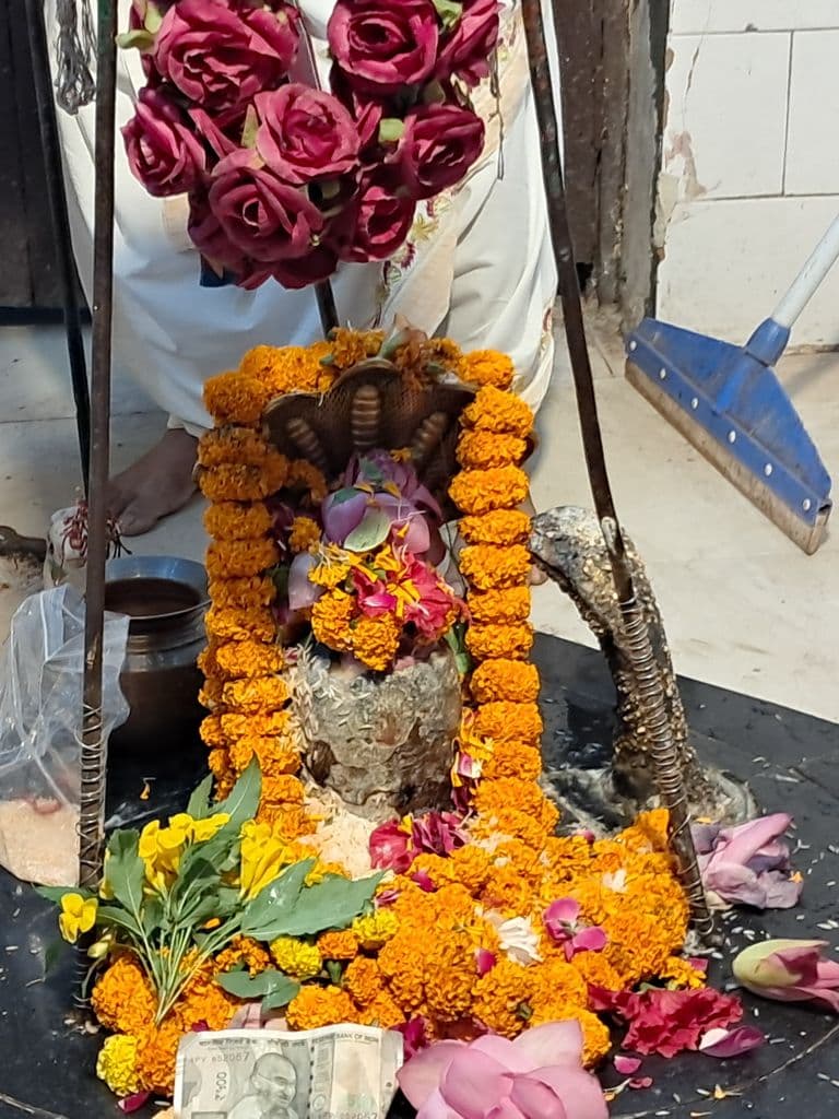 haridwar_mansa_devi_mandir_10.jpg