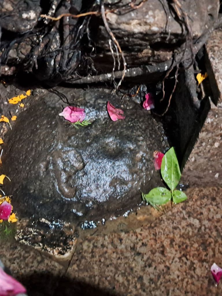 haridwar_maya_devi_mandir_4.jpg