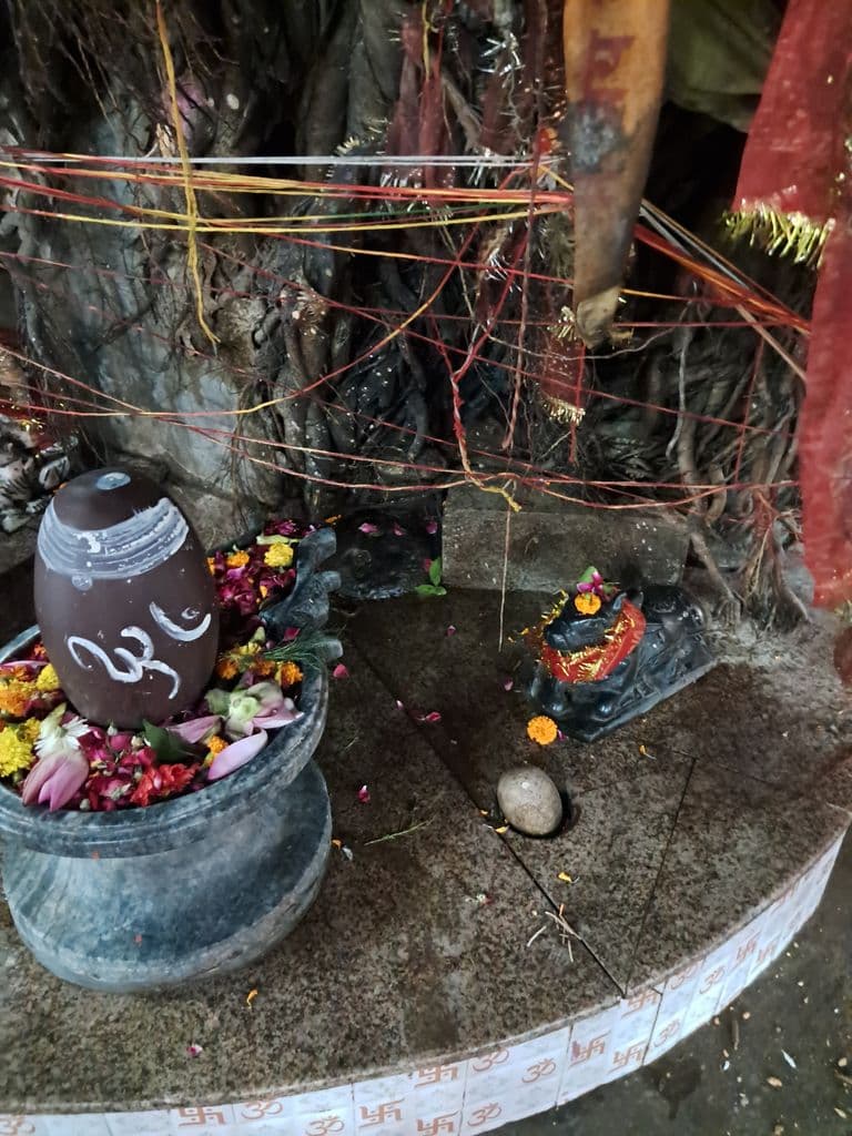 haridwar_maya_devi_mandir_5.jpg