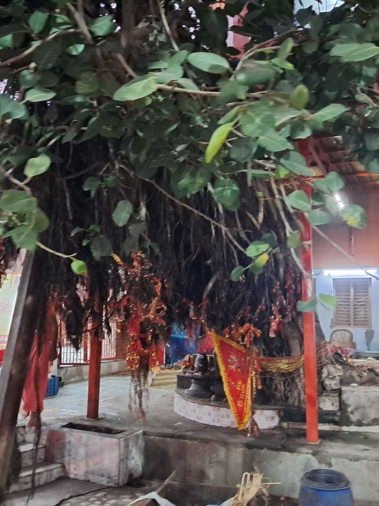 haridwar_maya_devi_mandir_6.jpg