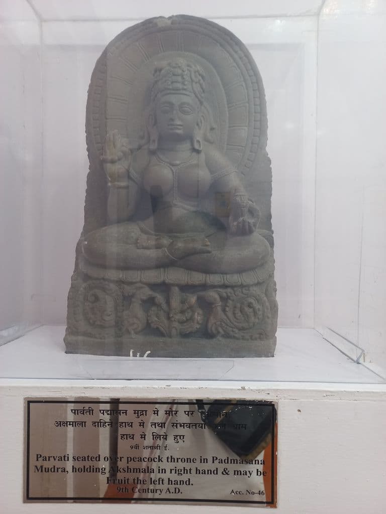 jageshwar_jageshwar_archaeological_museum_7.jpg