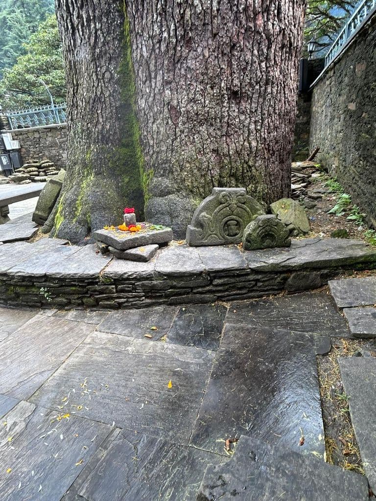 jageshwar_jageshwar_dham_13.jpg